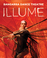 Illume