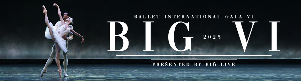 Ballet International Gala: BIG VI