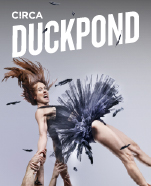 Duck Pond